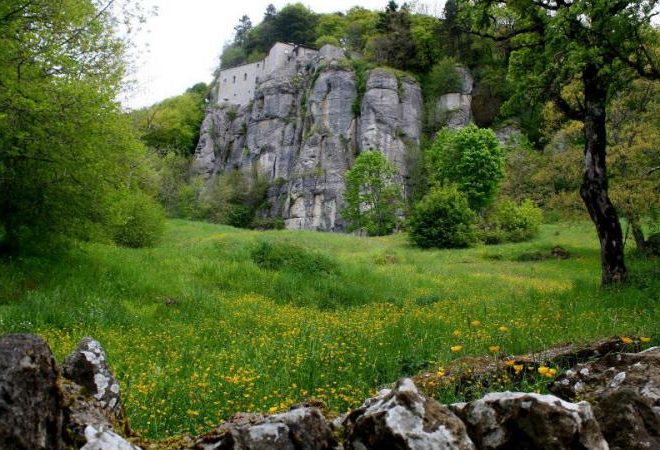 accordo parco foreste casentinesi frati la verna