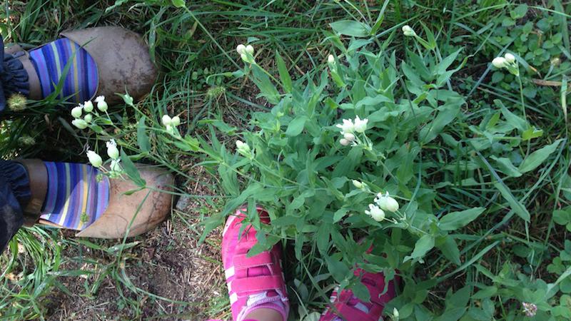 La Yurta nel Bosco: pedagogia dell'ascolto e della natura per esseri umani felici