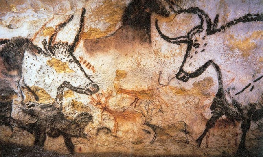 Riconnettersi con gli animali per salvarli dall'estinzione