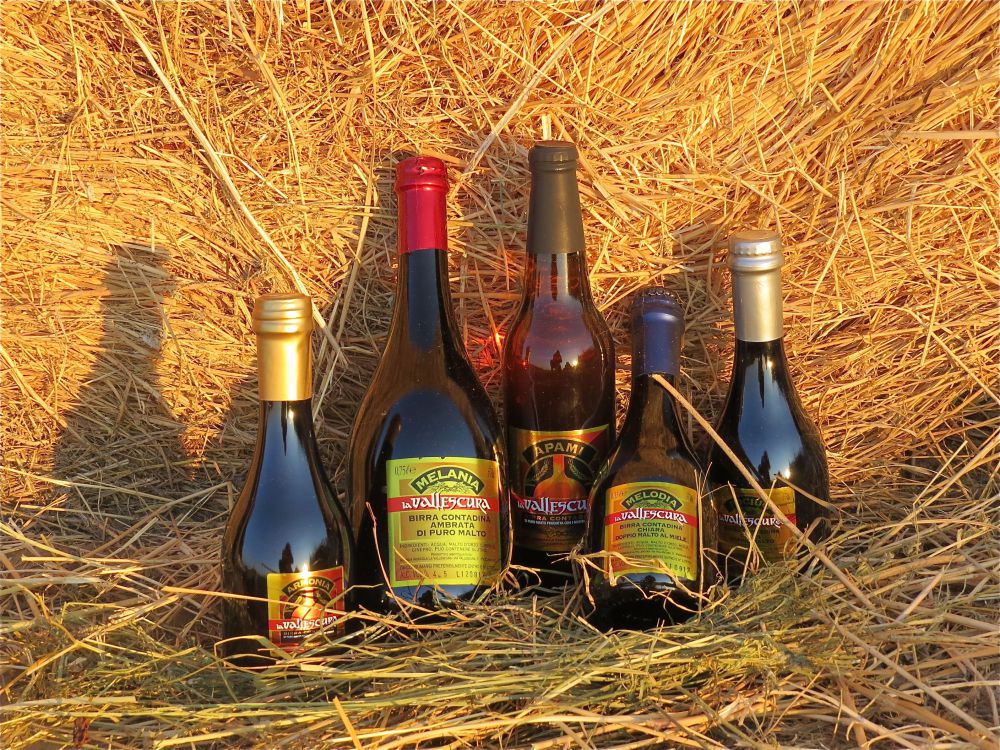 Io faccio così #186 – La Vallescura: “Così produciamo una birra contadina sana e sostenibile”