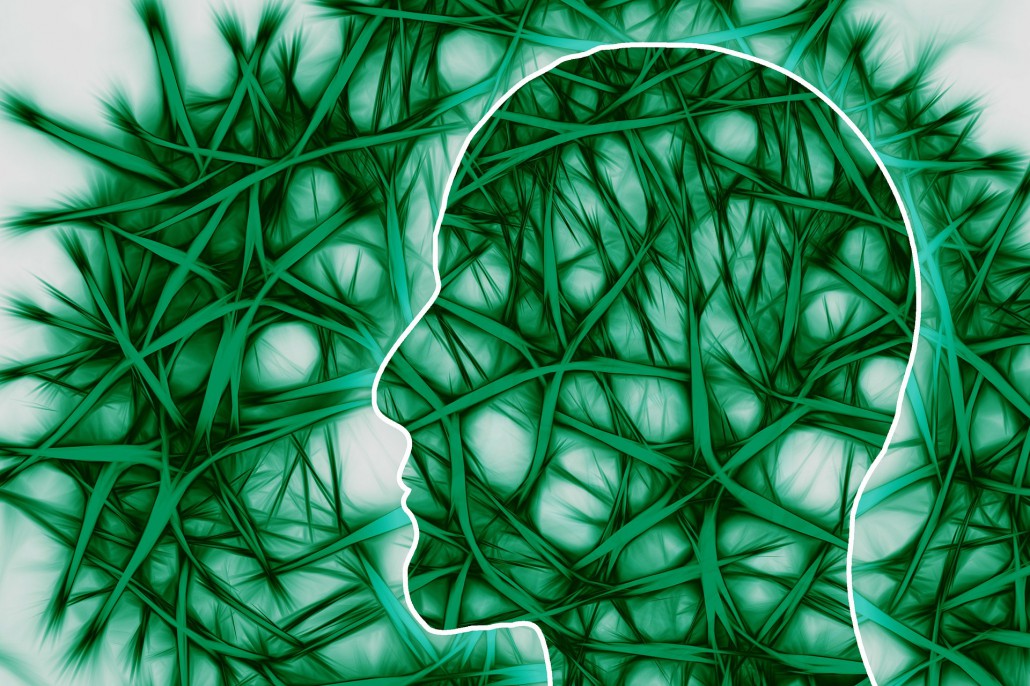 neural-pathways-221718_1920
