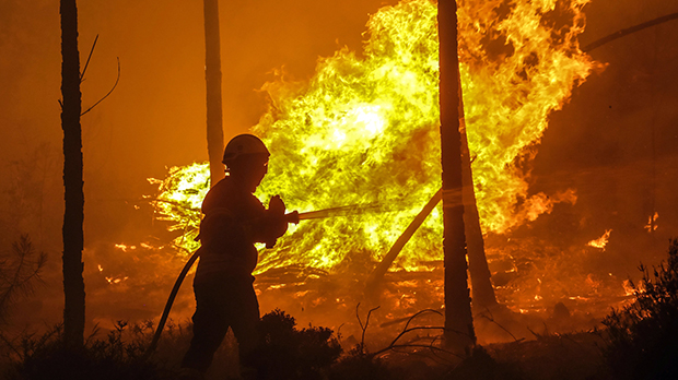Incendi: “Un'emergenza che va ben oltre il periodo estivo”