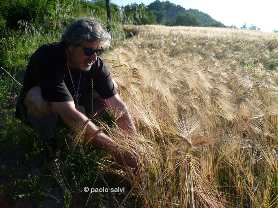 destinazione-casentino-1507124991