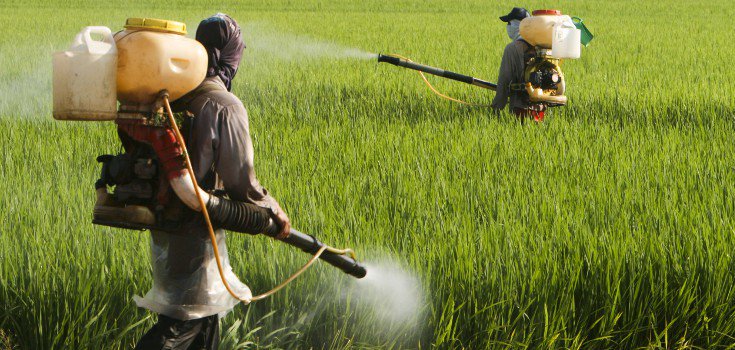 pesticides_field_guys_735_350-735x350