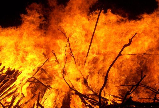 prevenzione incendi migranti puliscono boschi 1