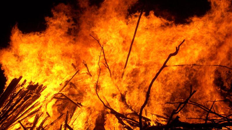 prevenzione incendi migranti puliscono boschi 1