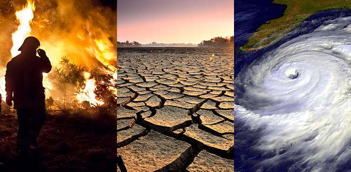 Cibo e clima: cambiare dieta può cambiare il mondo