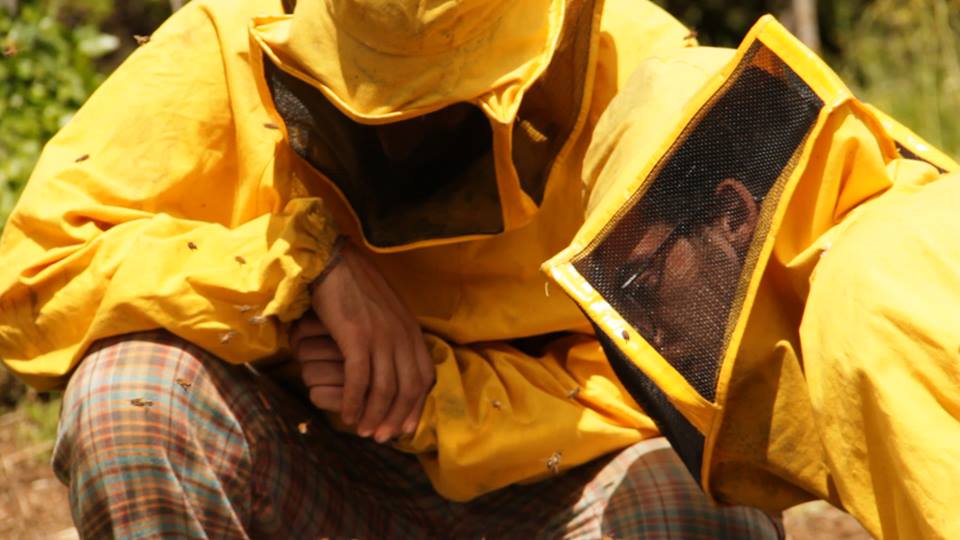 Il tempo delle api, il cinema indipendente in dvd a Natale