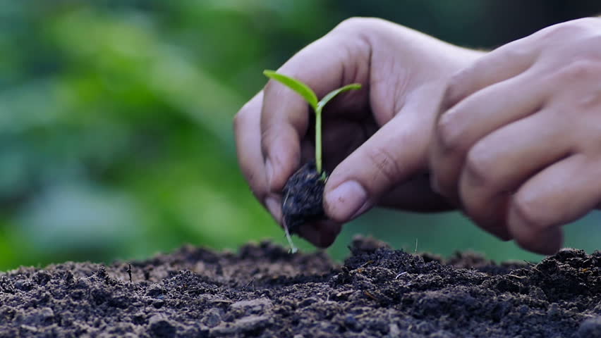 Terreni agricoli: al bando 8mila ettari coltivabili