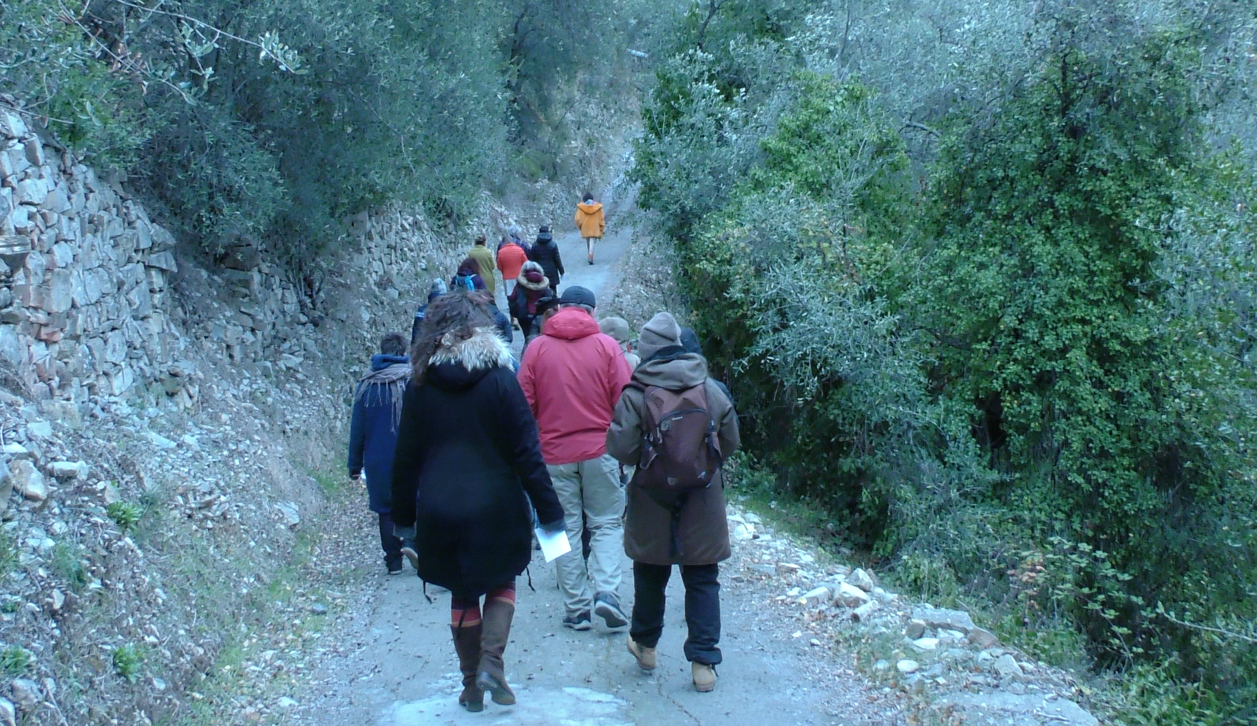 Marcella Danon guida l’escursione nella natura durante il workshop di Ecopsicologia