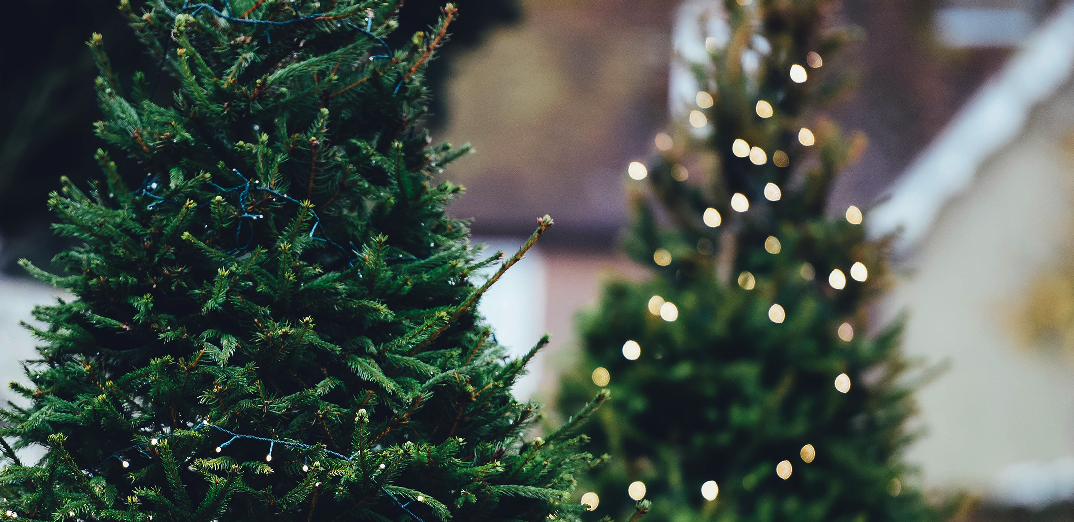 Un Natale sostenibile in dieci mosse