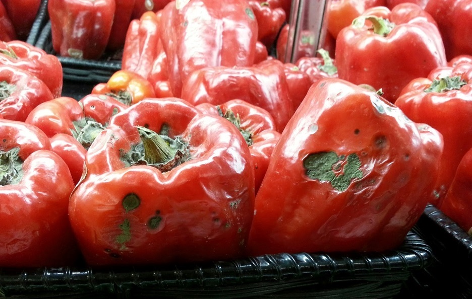 Siete pazzi a mangiarlo! Svelate le frodi dell'industria alimentare