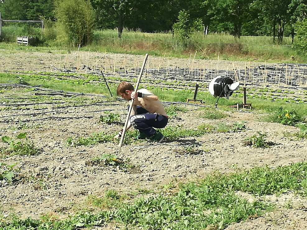 Gli orti sociali di Voghera