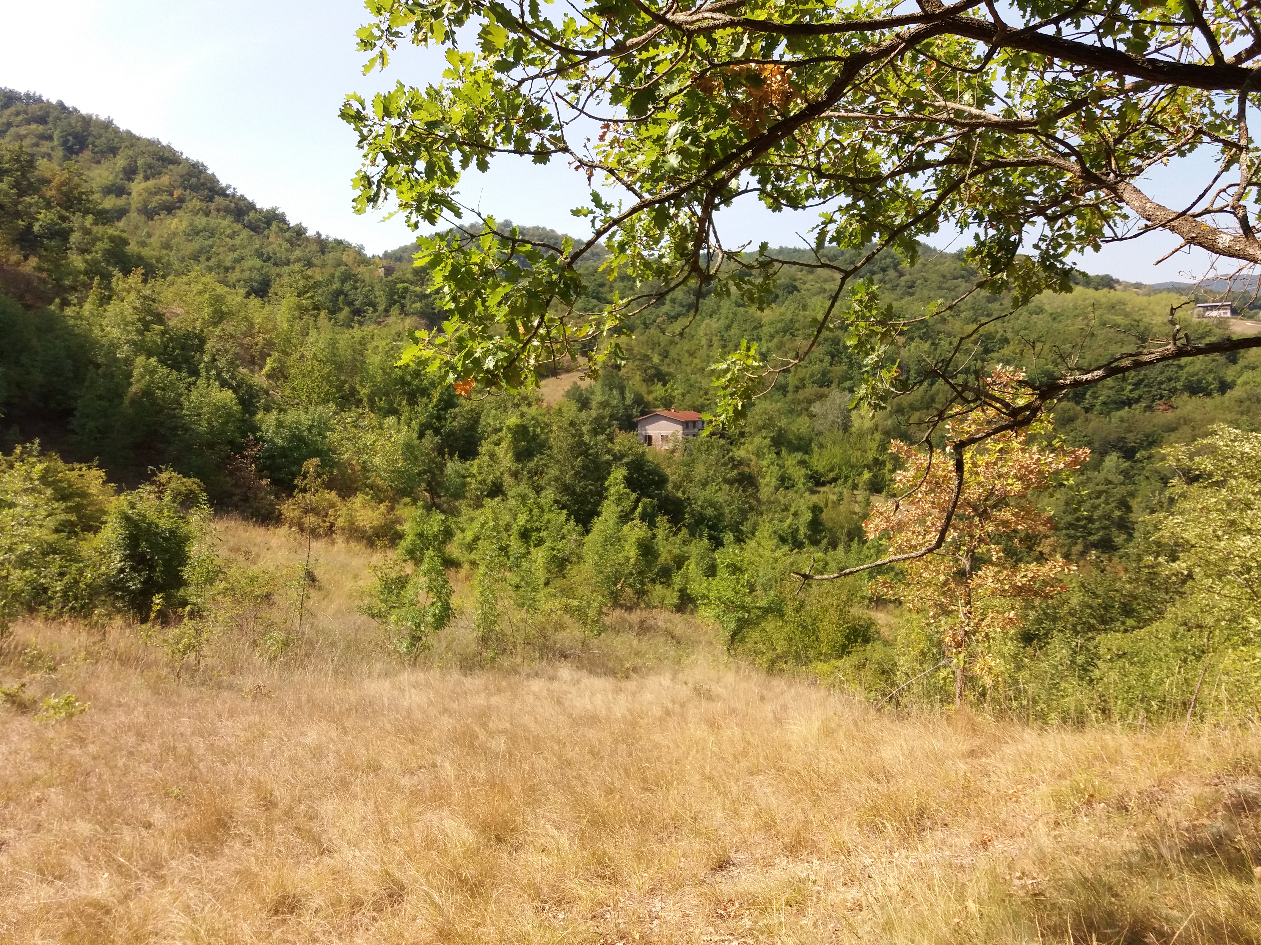 Ghirolandia, una comunità vegana sull’Appennino parmense