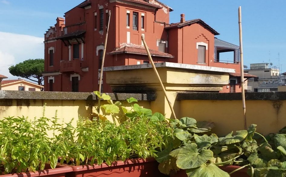 PURO, permacultura e sostenibilità arrivano in città