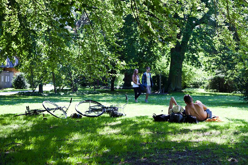 A Copenhagen già da molti anni non vengono più usati i pesticidi nelle aree urbane