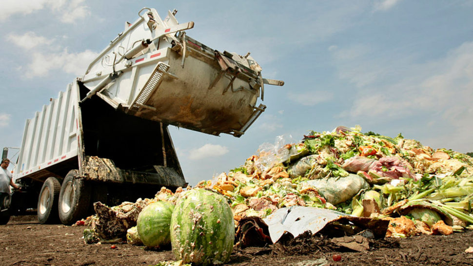 food-waste_opt-970x546