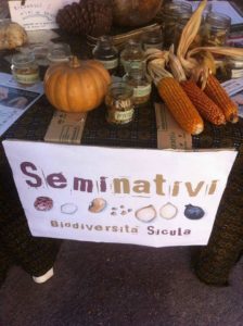 fotosementi1