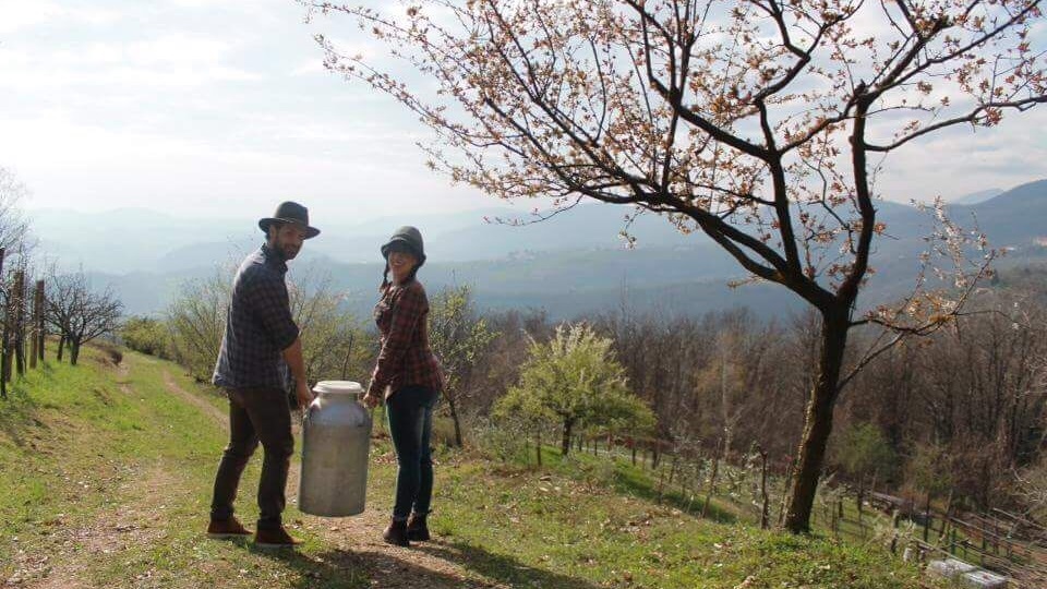 AttivAree: un programma per far rivivere le aree interne