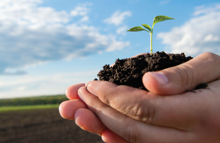 farming-future-good-hands-image
