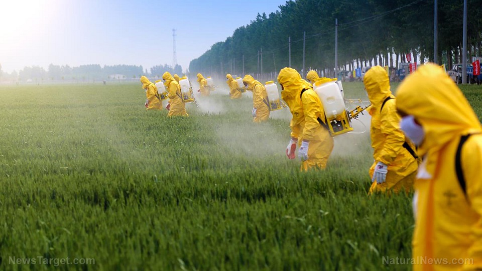 L’Europa dice sì alla fusione Bayer-Monsanto
