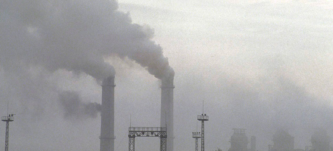 L'inquinamento è uno dei fattori che compromette la capacità dell'organismo di autoregolarsi