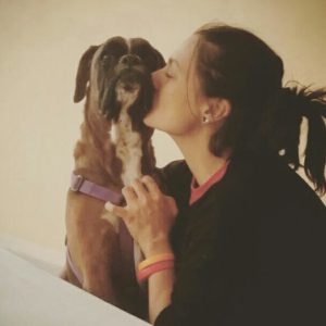 Il cane quotidiano: come aiutare i cani a vivere meglio