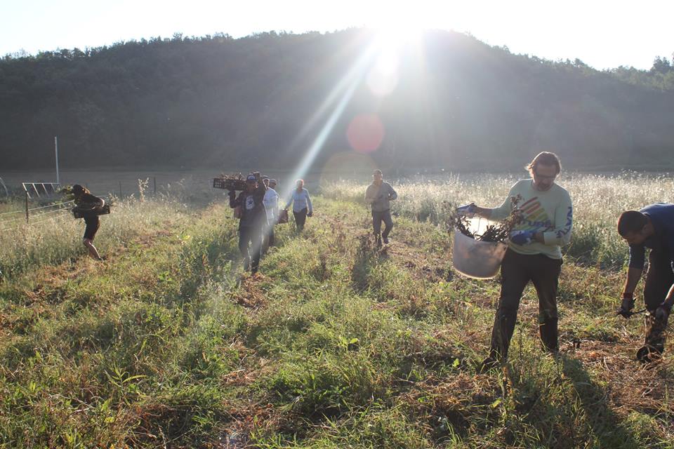 Il viaggio di Andrea, tra ecovillaggi e fattorie wwoof