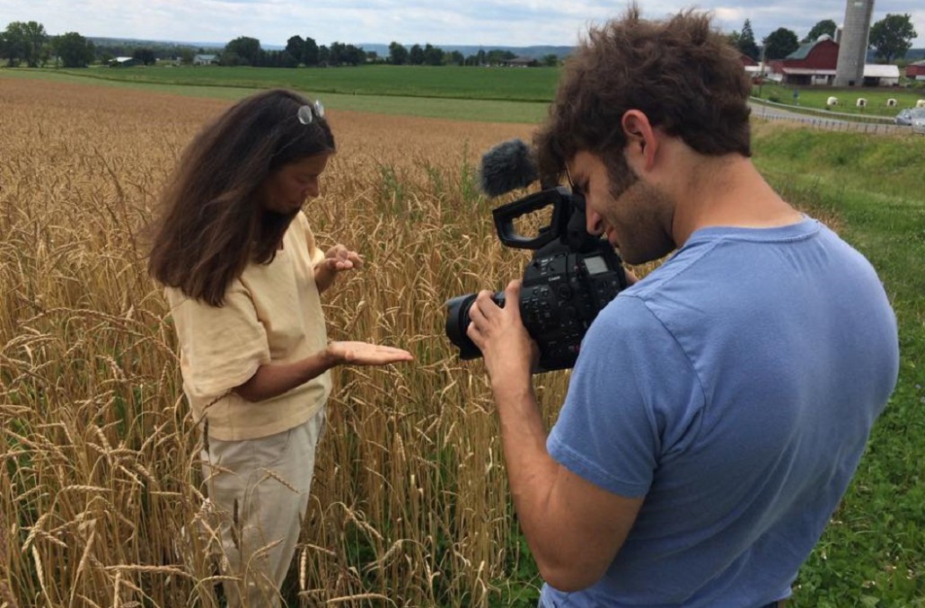 agricoltura intensiva 2