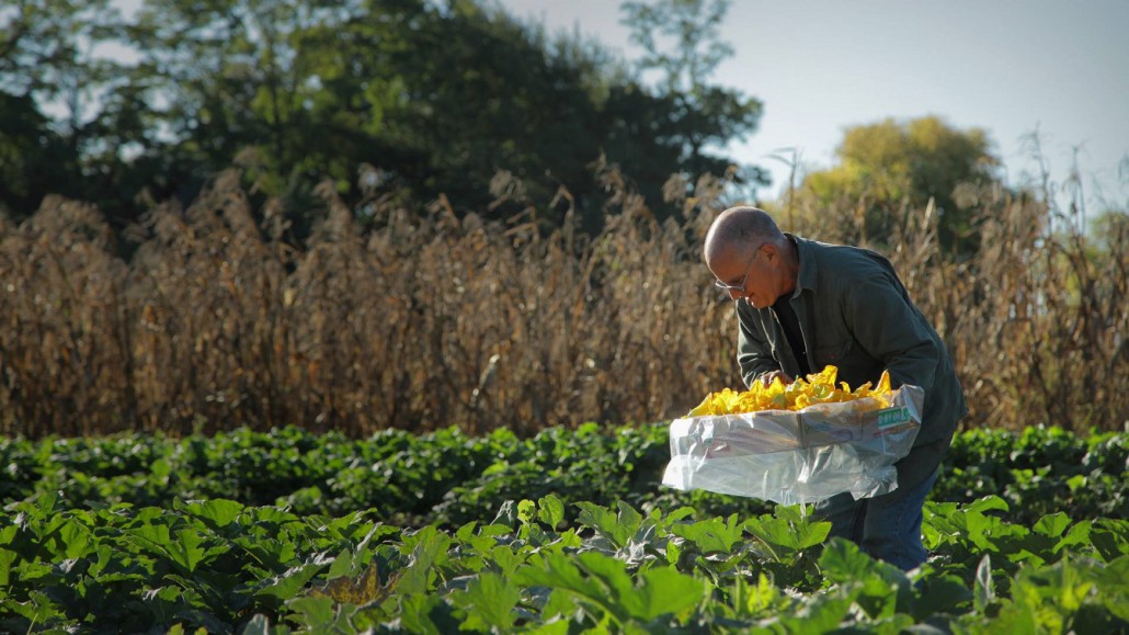 L’agricoltura intensiva non sfamerà il mondo!