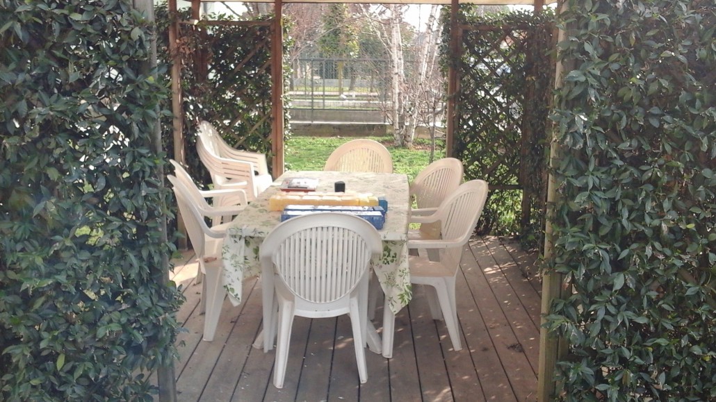 Uno scorcio del giardino della casa