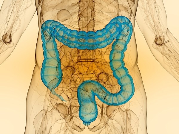 La sindrome dell'intestino irritabile: tra emozioni, cibo e neuroni