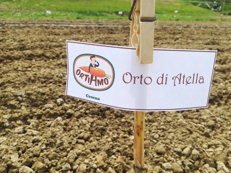 Ortiamo: ecco come adottare e gestire un orto a distanza
