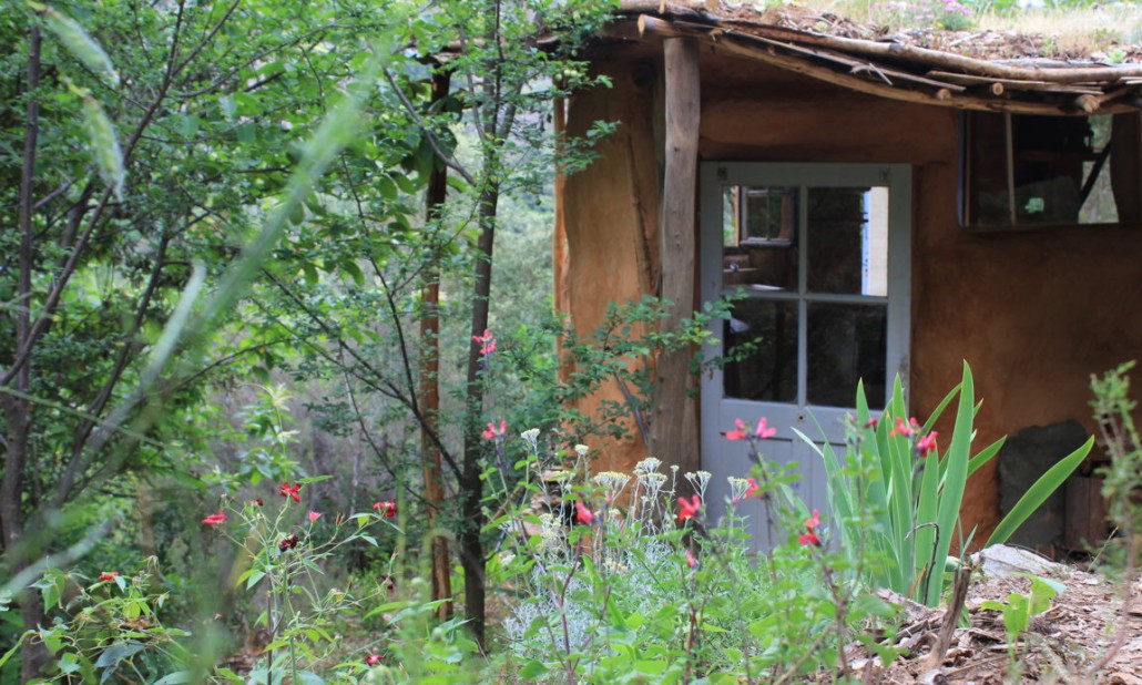 settimana nel bosco 3