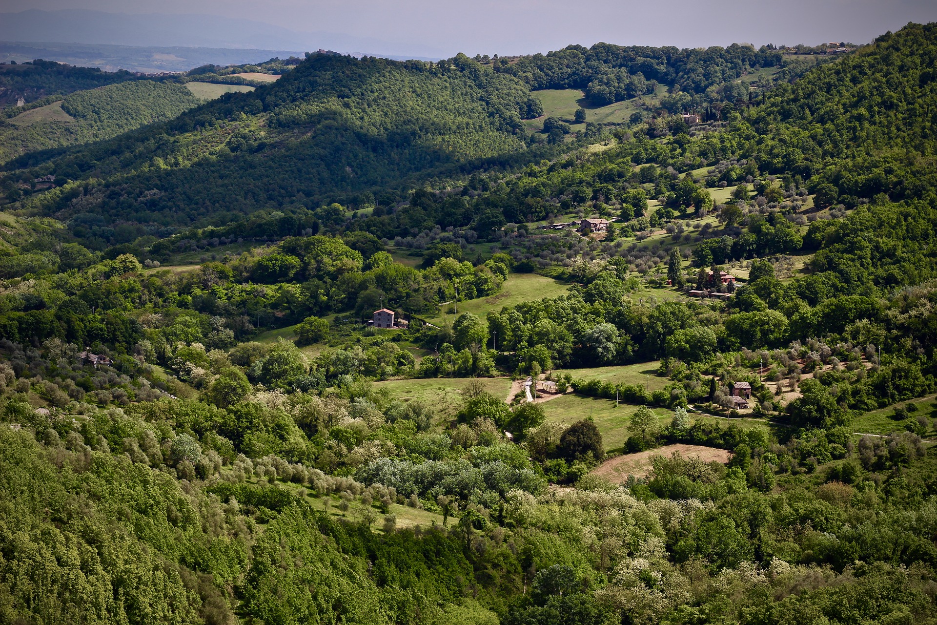 Dall’Italia alla Toscana che Cambia… passando per il Casentino