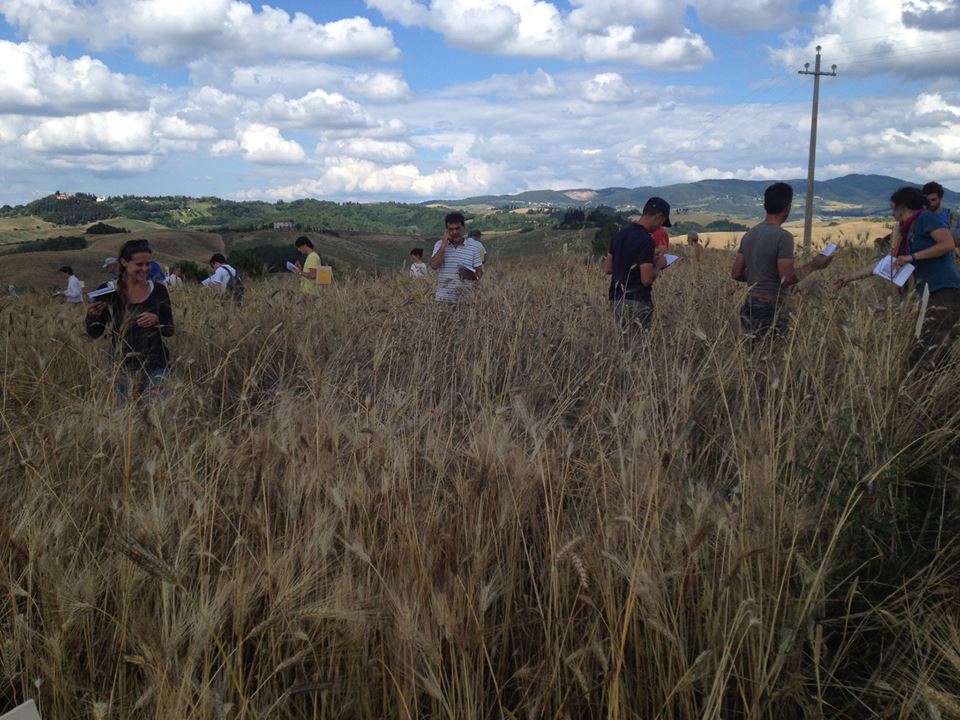 “Mescolate contadini, mescolate”: una strada per l'agricoltura di domani