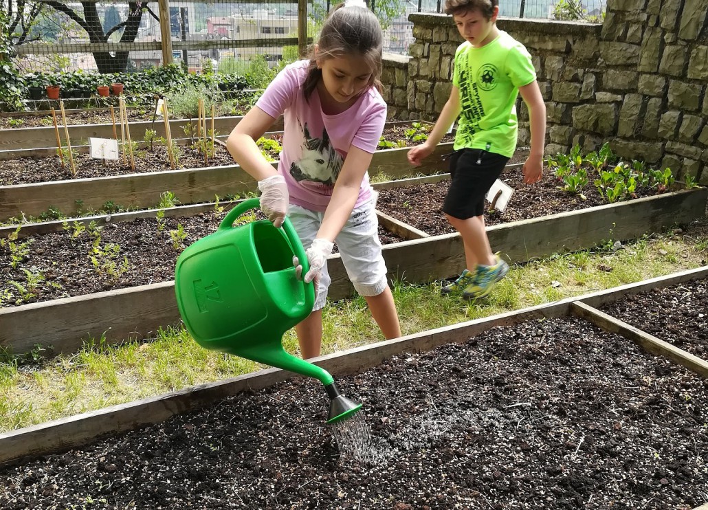 Orto a scuola: come crescere bambini consapevoli