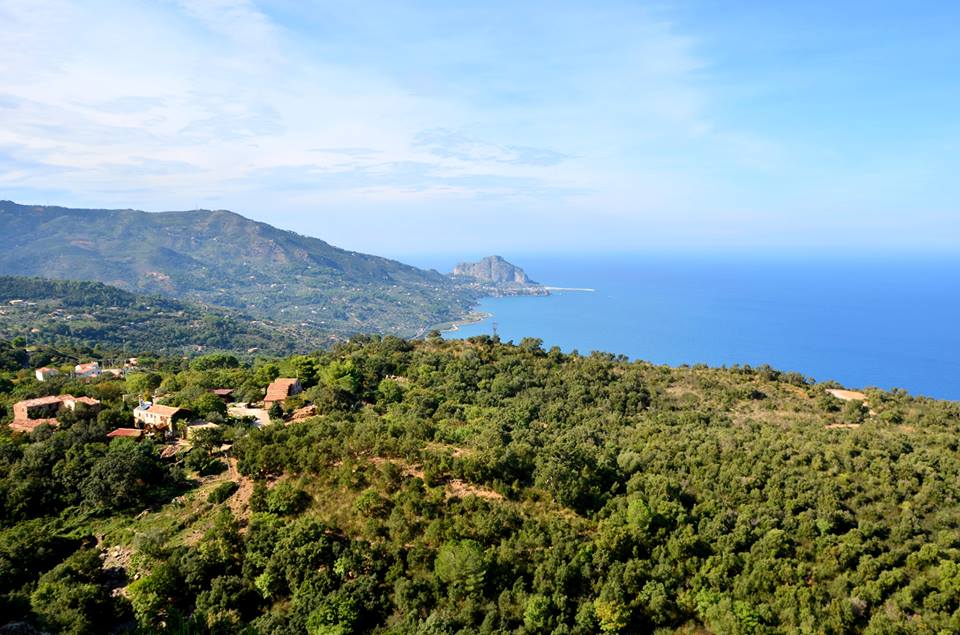 serra.guarnieri
