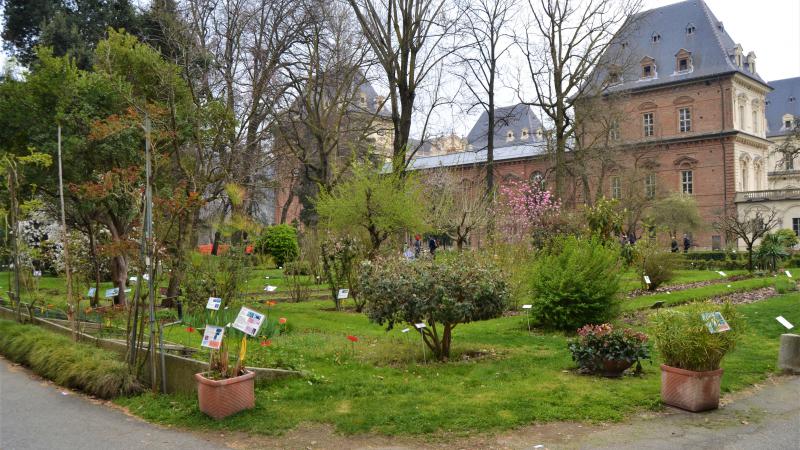Il “Giardino Sostenibile”, la mostra-mercato all’Orto Botanico di Torino