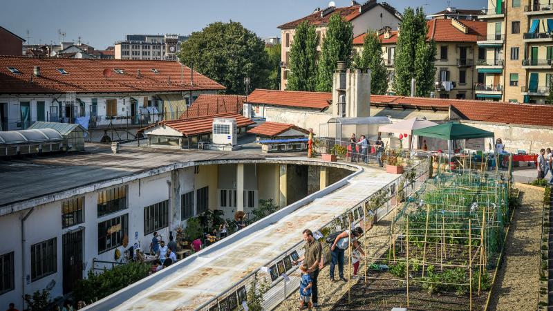 L’orto sul tetto: l’esperienza di OrtiAlti a Torino