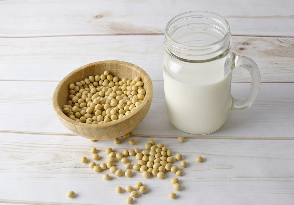 soy-milk-2263942_960_720