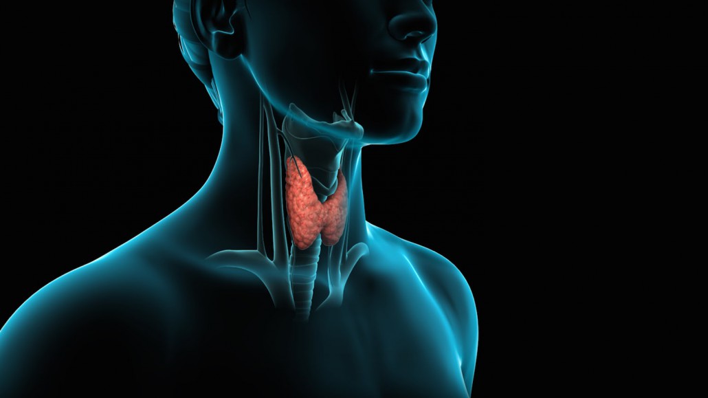 Tiroidite di Hashimoto: alimenti benefici e da evitare