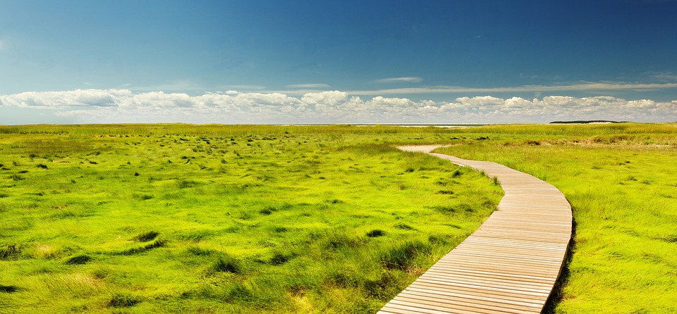 pathway-1081989_960_720