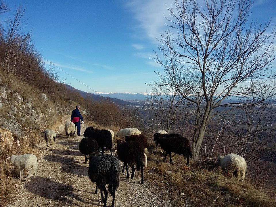 restartalp-montagna