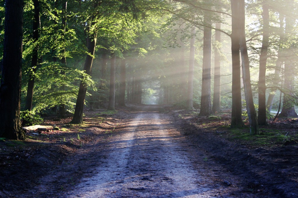 road-815297_1920