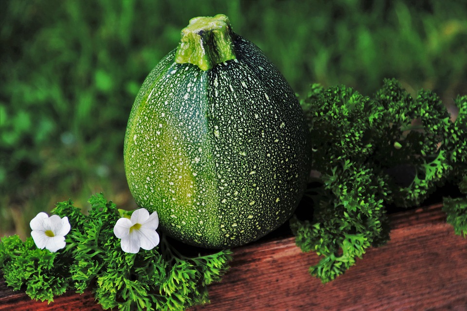 Ricetta #11 – Le zucchine tonde ripiene