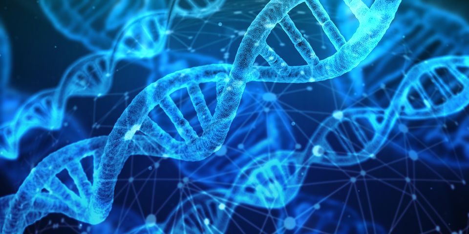 Epigenetica: come si crea la propria salute