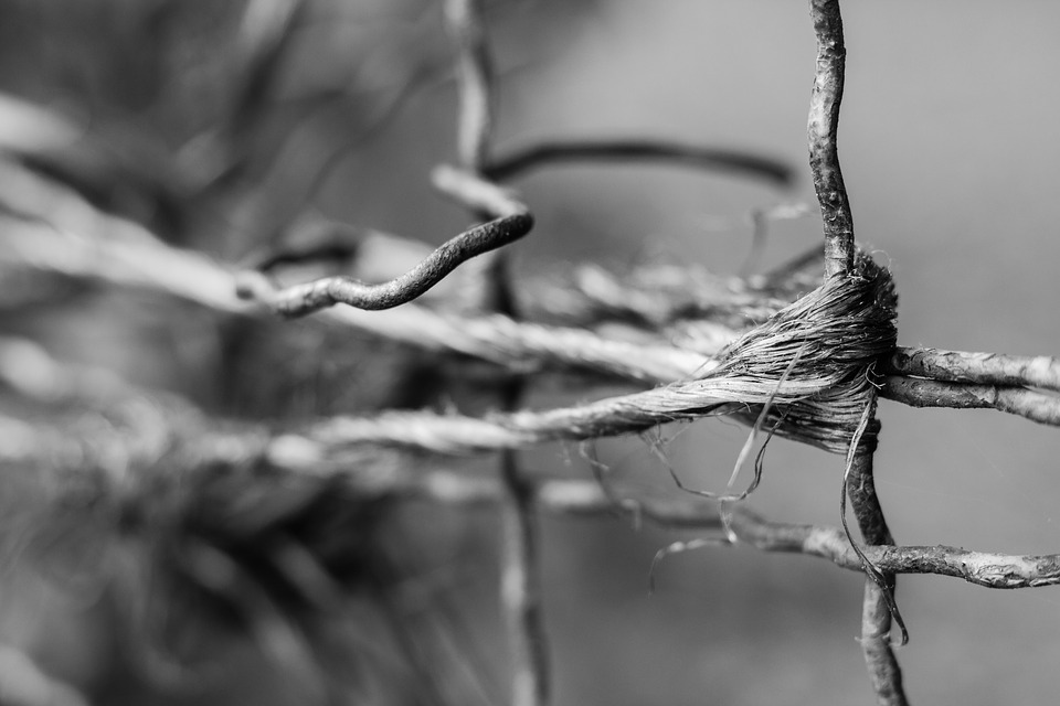 wire-1693429_960_720