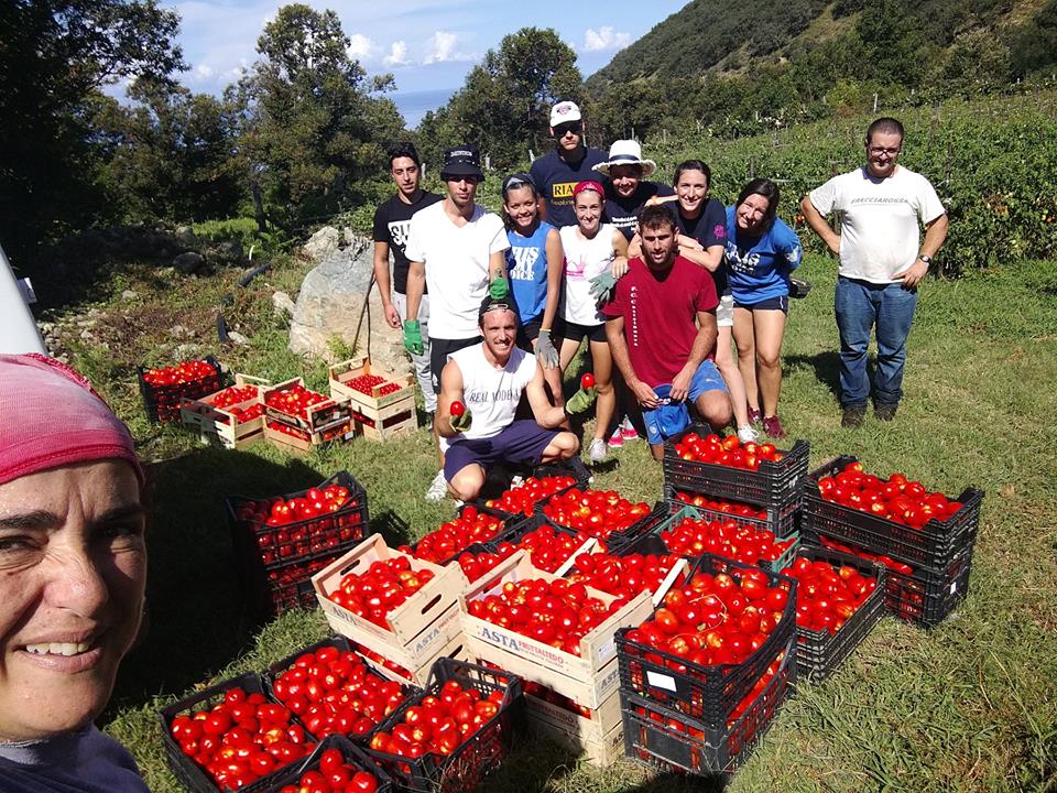 Cibo e ambiente: buone pratiche di sostenibilità