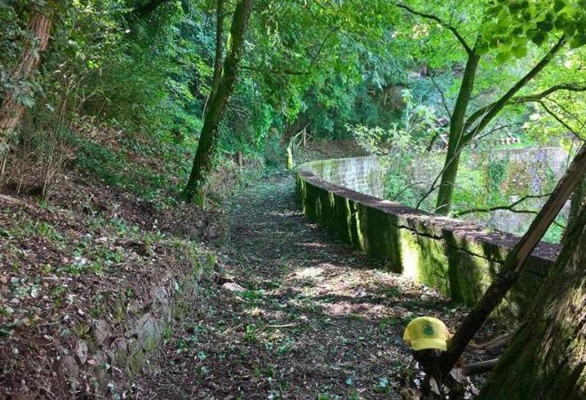 civitas cittadini lavoro per abbellire il paese